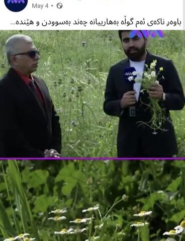 Introducing the Benefits of Medicinal Plants on AVA Media